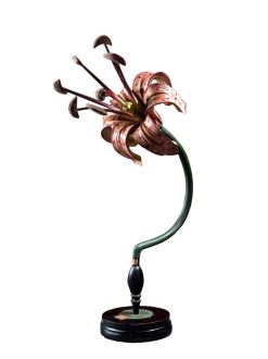 Objets De Curiosite | Galerie Lamy Chabolle Modele Anatomique D'Une Fleur De Lys Par Brendel