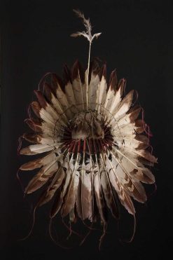 Collections | Finch and Co Coiffe De Guerre En Plumes D'Aigle Des Sioux Lakota Des Plaines D'Amerique Du Nord.