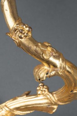 Regence | Franck Baptiste Paris Paire D'Appliques En Bronze Dore , Paris Vers 1730