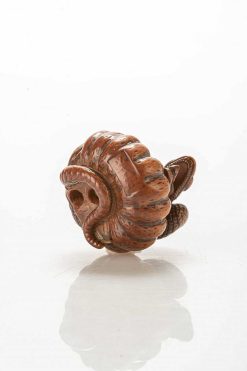 Arts D'Asie | Mastromauro Japanese Art Netsuke En Buis Figurant Un Serpent S'Enroulant Autour D'Une Citrouille