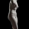 Nouveautes | Desmet Galerie Venus Pudique (Type Medicis)