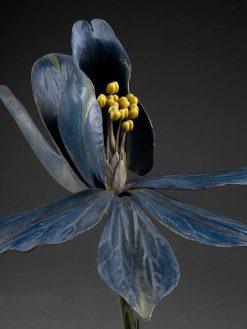 Art Nouveau | Galerie Lamy Chabolle Robert Et Reinhold Brendel - Modele Botanique De Fleur De Dauphinelle Ou Delphnium