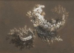 Nouveautes | Tomaselli Collection Antoine Berjon (1754 - 1843) - Fleurs