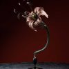 Objets De Curiosite | Galerie Lamy Chabolle Modele Anatomique D'Une Fleur De Lys Par Brendel