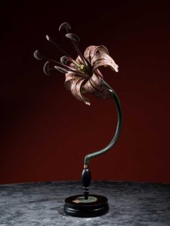 Objets De Curiosite | Galerie Lamy Chabolle Modele Anatomique D'Une Fleur De Lys Par Brendel