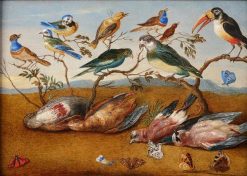 Xviiie Siecle | Jan Muller Un Concert D'Oiseaux - Attribue A Jan Baptist Bouttats (1680S - 1743)