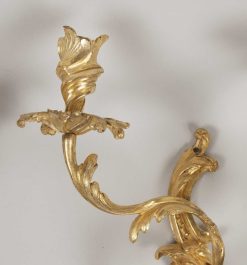 Louis Xv | Galerie Gilles Linossier Paire D'Appliques En Bronze Dore D'Epoque Louis Xv