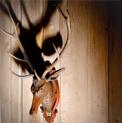 Transition | Antiquités Bertrand Klein Tete De De Cerf En Bois Sculpte - Alpes Suisse Xviiie Siecle