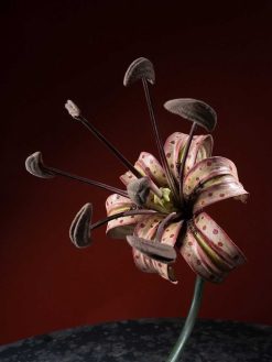 Objets De Curiosite | Galerie Lamy Chabolle Modele Anatomique D'Une Fleur De Lys Par Brendel