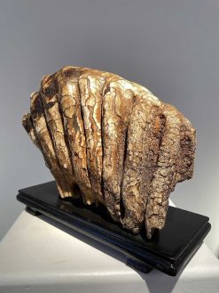 Objets De Curiosite | Seghers & Pang Fine Arts Molaire De Mammouth Fossilisee Xxl (Pleistocene)