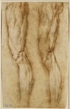 Renaissance | Poncelin de Raucourt Fine Arts Bartolomeo Passarotti (1529-1592) - Etude De Deux Jambes