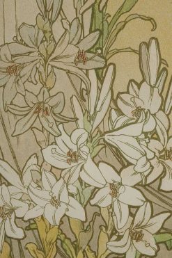 Gravures Anciennes | Galerie Tourbillon Les Fleurs - Alphonse Mucha (1860-1939)