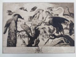 Gravures Anciennes | Anne Besnard Gravure Xviiie Siecle A Concert Of Birds