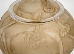 Art Deco | BG Arts 1924 Rene Lalique - Boite Du Barry